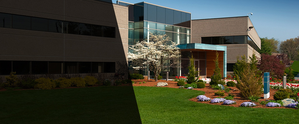 Kendall Park Landscapers