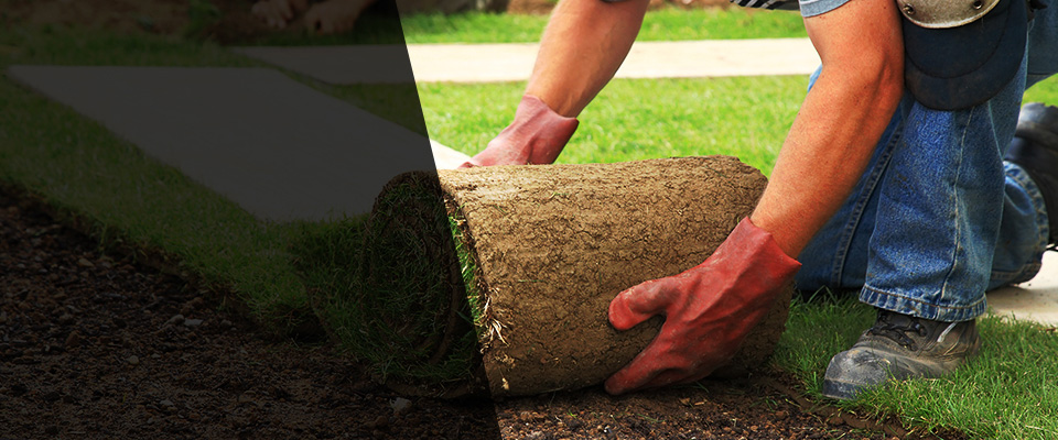 Kendall Park Landscapers